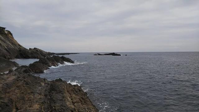DSC_0140.jpg