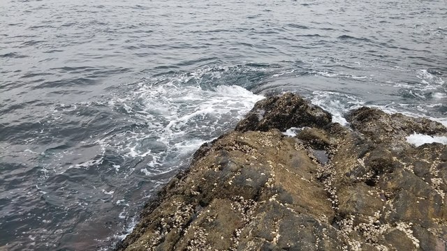 DSC_0141.jpg