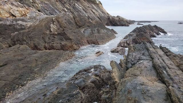DSC_0142.jpg